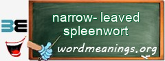 WordMeaning blackboard for narrow-leaved spleenwort